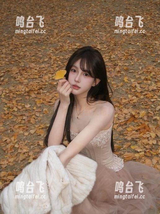 355.fun：这是真正的瓜农入口，不怕甜就来吧！