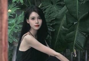355.fun传送门：菊花一怒，谁是下一个瓜的牺牲品？