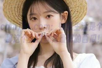 51.com：如果生活是个沙滩，那这个入口就是最肥的西瓜！