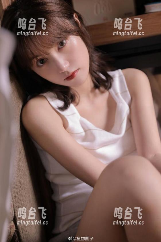 更新啦！51吃瓜探秘：胖猫的“懒”生活大公开