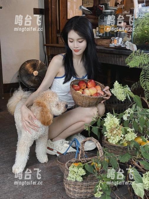 吃瓜网导航：新鲜事一网打尽，在线观看的乐趣满分！