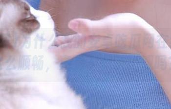 为什么我的安卓吃瓜网在线观看这么顺畅，真的不怕被围观吗？