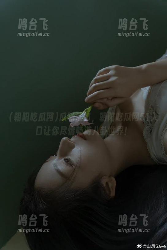 瓜味浓郁，朝阳吃瓜网51入口让你尽情畅游八卦世界！