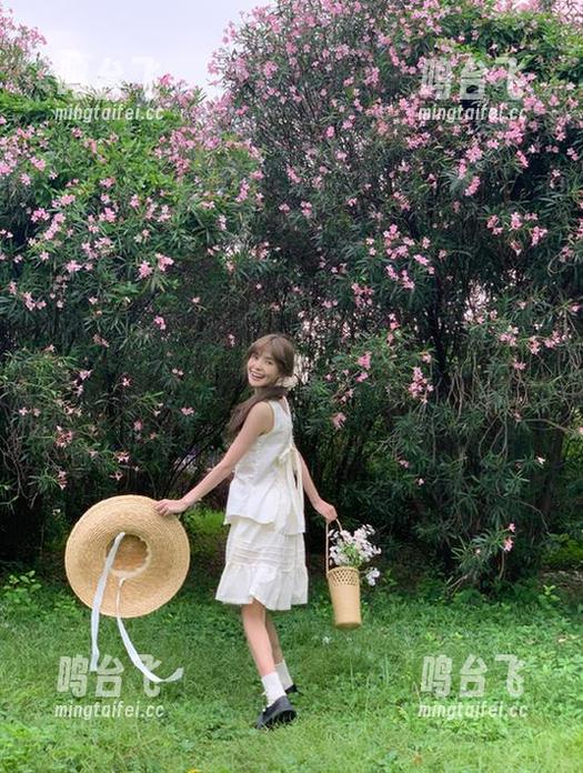观看绯闻现场：黑料51教你如何判断‘真’和‘假’！