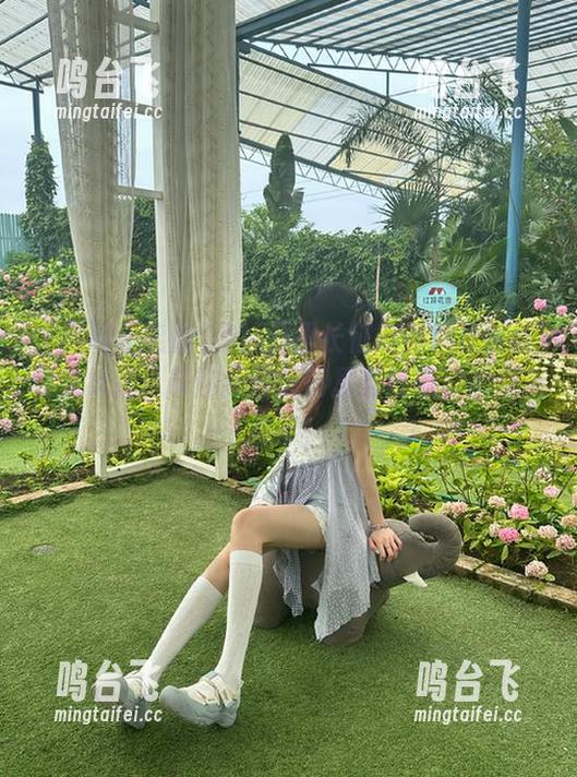 走！万里长征篇黑料正能量导航线路，带你探索瓜田里那些隐秘的深夜故事！