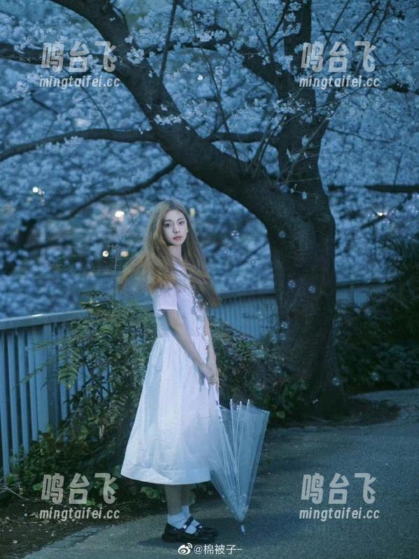 下载黑料社苹果版：听说一天一个新爆料，我有点小期待