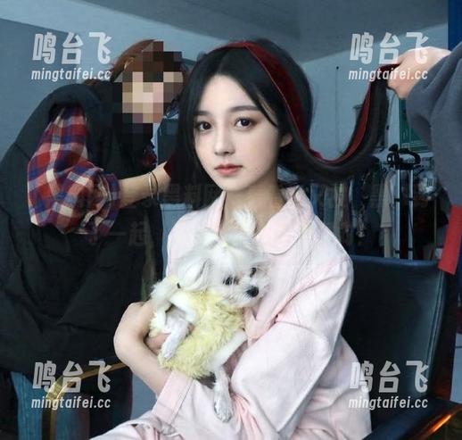登录黑料网，看看谁又被‘黑’到了一起，真是热闹得像开派对！