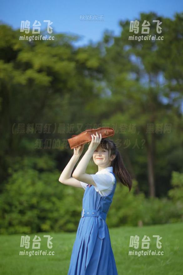 最近又有新面孔登场，黑料网红们的花名册到底有多少人？
