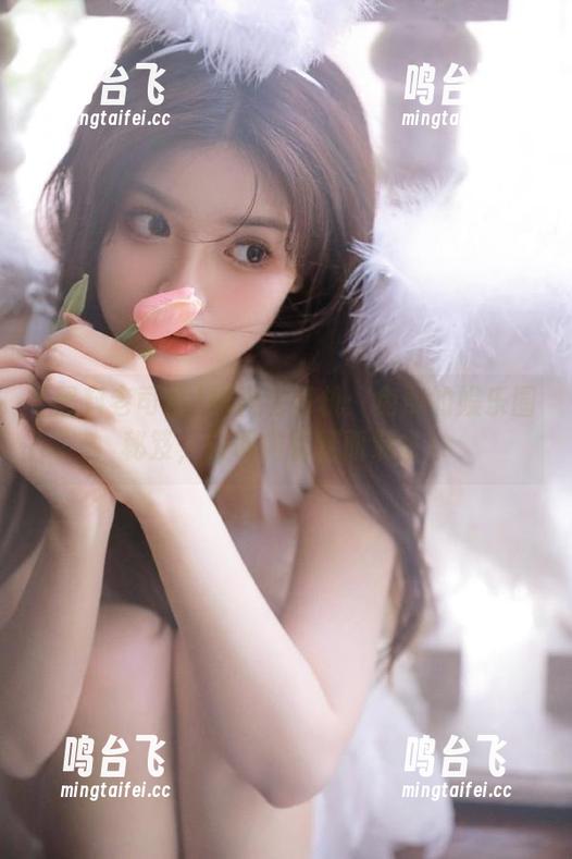 黑料老司机：免费的娱乐圈秘笈，获取内幕轻而易举！