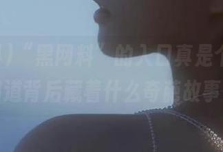“黑网料”的入口真是个宝藏，谁知道背后藏着什么奇葩故事呢？