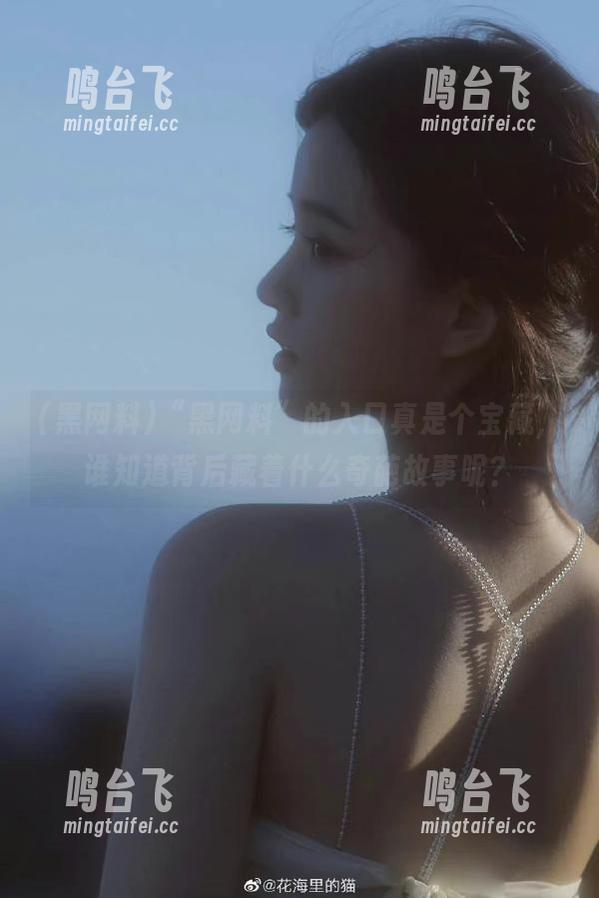 “黑网料”的入口真是个宝藏，谁知道背后藏着什么奇葩故事呢？